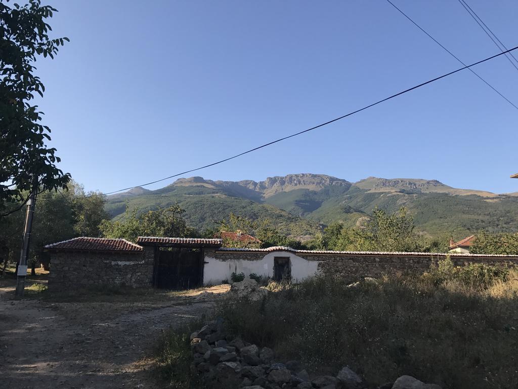 Guesthouse Planinsko Gnezdo Tŭzha Exterior foto