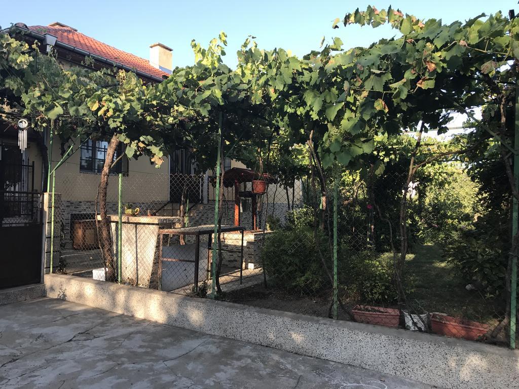 Guesthouse Planinsko Gnezdo Tŭzha Exterior foto