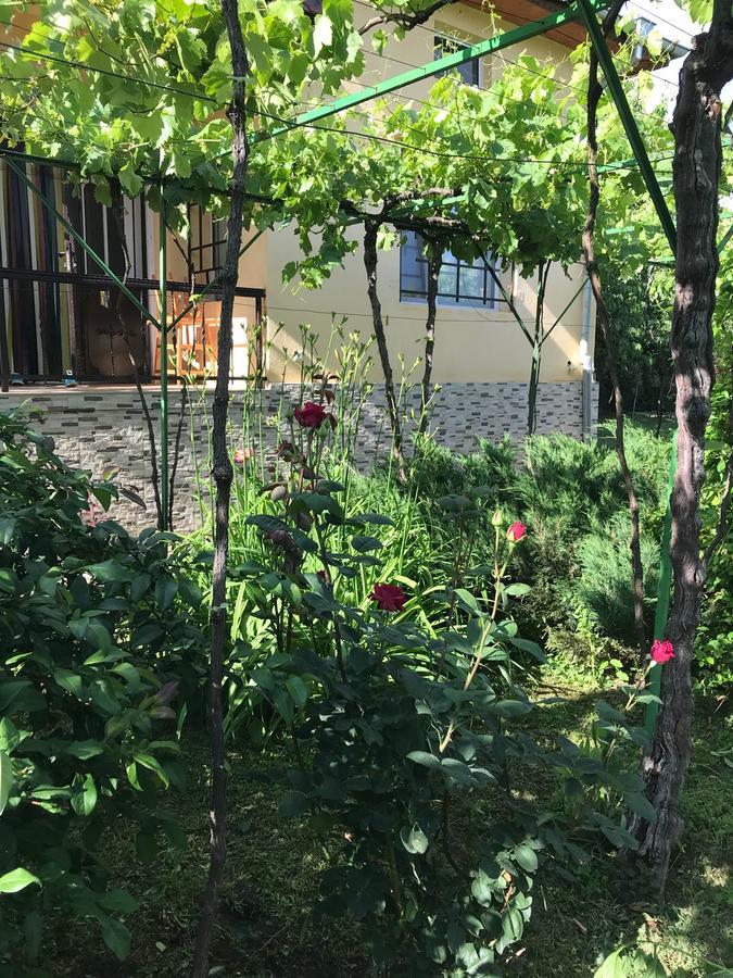 Guesthouse Planinsko Gnezdo Tŭzha Exterior foto