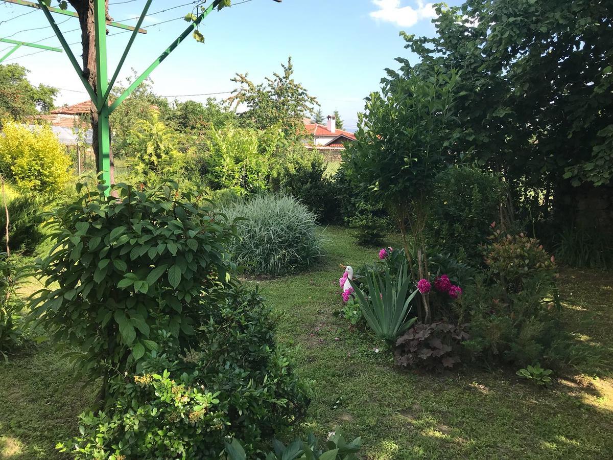 Guesthouse Planinsko Gnezdo Tŭzha Exterior foto